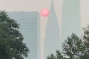 英媒:世界杯决赛前纽约空气质量极差 呼吸空气被比作1天抽10根烟